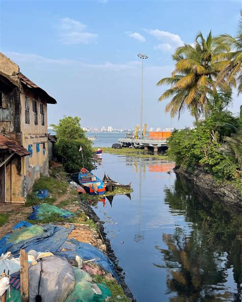 desi kochi|15 fun things to do in Kochi (Chochin) 2024 .